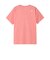 ザ・ノース・フェイス（THE NORTH FACE）ショートスリーブ フラッシュドライ ヌプシコットンTシャツ NTW32536 CH
