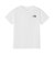 ザ・ノース・フェイス（THE NORTH FACE）ジュニア ヒストリカルロゴ 半袖Tシャツ NTJ32648 W