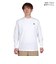 ザ・ノース・フェイス（THE NORTH FACE）長袖Tシャツ ロンT ロングスリーブスモールボックスロゴティー NT32441 W
