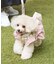 《犬用》ビスケットモチーフワンピース（S）