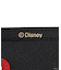 DISNEY DREAM TRAVEL コレクション ラゲッジタグ