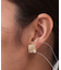 しわメタルピアス
