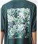 ボタニカルプリントオーバーサイズ半袖Ｔシャツ