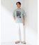 【夏コーデの主役に】グラフィックコットン半袖Tシャツ CAT／LANDSCAPE
