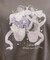 【接触冷感・UVカット・洗える】トゥシューズプリントTシャツ
