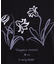【選べる4柄】コットンプリントロゴTシャツ