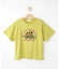 【100-150cm/ひんやり】さがらモチーフTシャツ