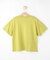 【100-150cm/ひんやり】さがらモチーフTシャツ