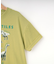 【100-120cm】猛獣恐竜フォト図鑑Tシャツ