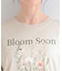 【SHOO ICE】ひんやりプリントTシャツアソート
