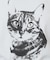 ねこプリントTシャツ【洗濯機洗い可】