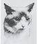 ねこプリントTシャツ【洗濯機洗い可】