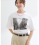 【STAR＆STRIPE】フォトTシャツ