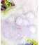 フィオラ ブラジャー