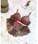 ジアン フレアショーツ