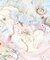 ホリー ノーマルショーツ