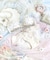 ホリー ソフトブラ