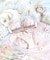 ホリー ソフトブラ