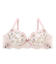 アルマ ブラジャー （D-F） ＜スウィートリッチ＞