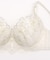 ディアンタ ブラジャー (G-I) ＜Glamor Bra／バストアップタイプ＞