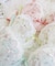ソーラ ブラジャー (B-C) ＜Side Shape（サイドシェイプ）＞