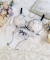 ブライア ブラジャー （G－H） ＜Glamor Bra／サイドすっきりタイプ＞