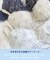 ティニー ブラジャー （D－F） ＜Sweet Rich（スウィートリッチ）＞