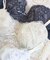 ティニー ブラジャー （D－F） ＜Sweet Rich（スウィートリッチ）＞