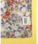 【LIBERTY】 リバティプリント×ボールペン GIFTBOX