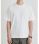 【LIMITED/抗菌防臭】コットン テーラードTシャツ