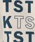 【110－160】袖レイヤードTSTKtee