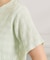 レースジャカードTシャツ