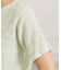 レースジャカードTシャツ