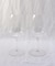 カベルネメルロ 2個入り ＜RIEDEL リーデル＞