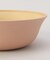 earth color 抗菌すくえる ボウル PK