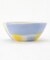 ペインター ボウル YE×BL