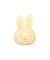 ◆Dick Bruna miffy 光るバスボール