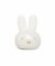 ◆Dick Bruna miffy 光るバスボール