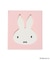 ◆Dick Bruna miffy ダイカットミラー