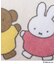 ◆Dick Bruna miffy ミニタオル 5P ミッフィーと楽しい毎日