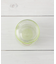 ディノサウルス ダイカットストローボトル 420ml