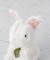 potte アンゴラウサギ