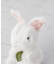 potte アンゴラウサギ