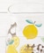 ◆FIKA グラス 310ml