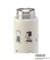 SNOOPY ステンレスボトル 480ml