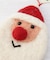 ◆【クリスマス】モココ フェルトオーナメント モチーフ