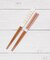 塗箸 桐箱2膳入 初音