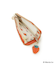 【先行販売】Dick Bruna miffy スマートキーケース strawberry&tulip