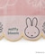 ◆Dick Bruna miffy ミニタオル ブルーム