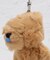 NICI キーリンクBB チャウチャウ
